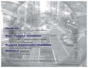 Comprehensive Annual Financial Report (CAFR) - 2002